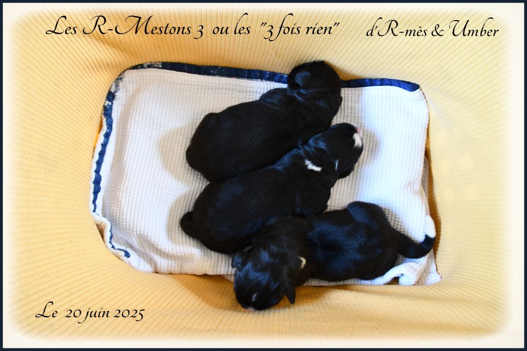 Ils sont arrivés